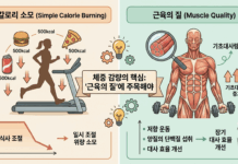 나잇살의 범인은 의지 부족이 아닌 ‘기초대사량’ 하락